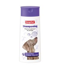 Shampooing pour chien anti odeur 250mL Bulles - BEAPHAR